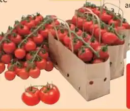 Edeka Cherry Rispentomaten Honigschätze Angebot