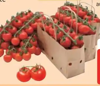 Edeka Cherry Rispentomaten Honigschätze Angebot