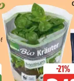 Edeka Edeka Bio Bio-Basilikum Angebot