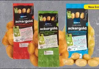 Edeka Edeka Ackergold Speisefrühkartoffeln Angebot