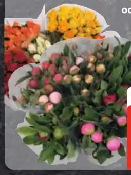 Edeka Premium Pfingstrosen Angebot
