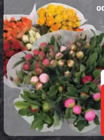 Edeka Premium Pfingstrosen Angebot