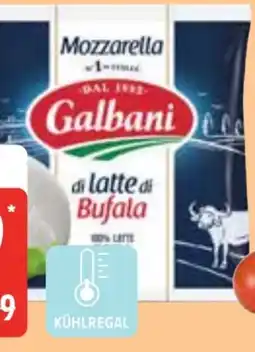 Edeka Galbani Mozzarella di latte Bufala Angebot