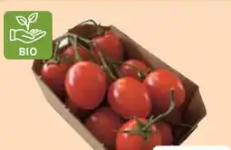 Edeka Bio Mini Pflaumen Rispentomaten Angebot