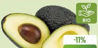 Edeka Bio-Avocado Hass Angebot