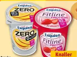 REWE Center Exquisa Fitline Quark-Joghurt-Creme Protein Angebot