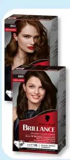 Budni Schwarzkopf Brillance Intensiv-Color Creme Angebot