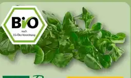 REWE Rewe Bio Feldsalat Angebot