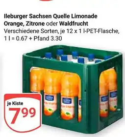 Globus Ileburger sachsen quelle limonade orange, zitrone oder waldfrucht Angebot