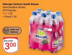 Globus Ileburger sachsen quelle brause Angebot