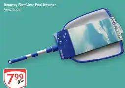 Globus Bestway flowclear pool kescher Angebot