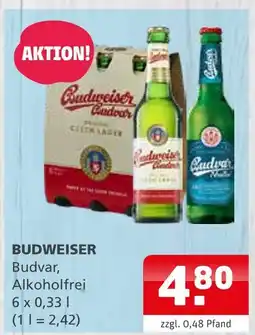 Getränke Quelle Budweiser Angebot