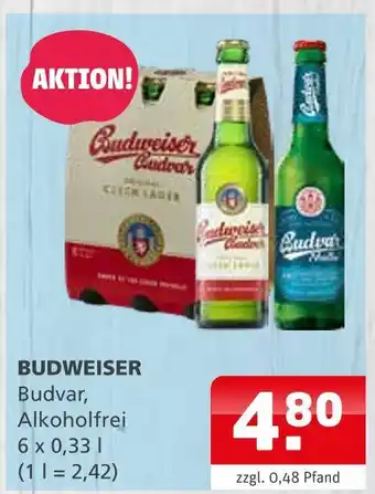 Getränke Quelle Budweiser Angebot