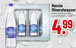 trinkgut Hassia mineralwasser Angebot
