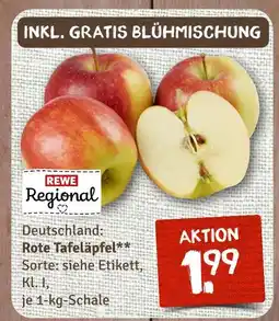 nahkauf Rewe regional rote tafeläpfel Angebot