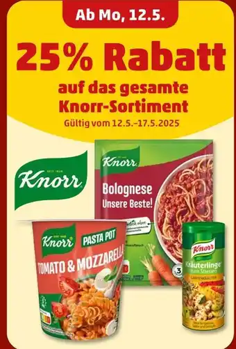 PENNY Knorr 25% rabatt Angebot