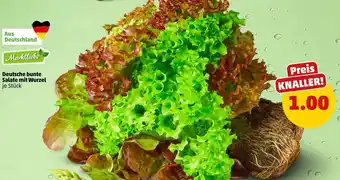 PENNY Marktliebe deutsche bunte salate mit wurzel Angebot