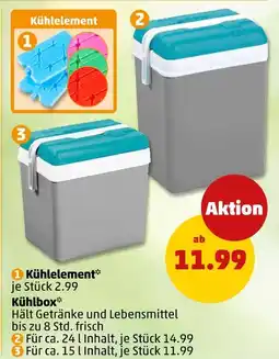 PENNY Kühlelement oder kühlbox Angebot