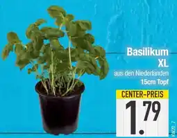 Edeka Basilikum xl Angebot