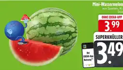 Edeka Mini-wassermelonen Angebot