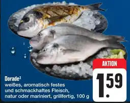 E-Center Dorade² Angebot
