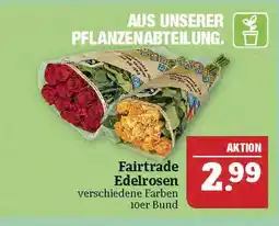 Marktkauf Fairtrade edelrosen Angebot