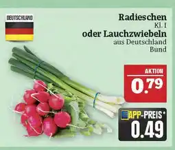Marktkauf Radieschen oder lauchzwiebeln Angebot