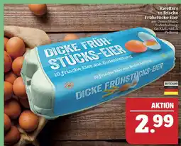 Marktkauf Kwetters 10 frische frühstücks-eier Angebot