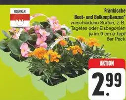 Edeka Franken beet- und balkonpflanzen Angebot