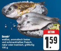 Edeka Dorade Angebot