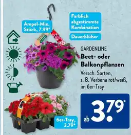 Aldi Süd Gardenline beet- oder balkonpflanzen Angebot