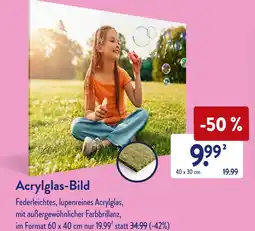 Aldi Süd Acrylglas-bild Angebot
