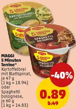 PENNY MAGGI 5 Minuten Terrine Angebot