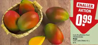 REWE Mango Angebot