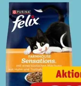 REWE Purina Felix Katzennahrung Angebot