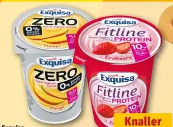 REWE Exquisa Fitline Quark-Joghurt-Creme Protein Angebot