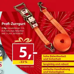 Sonderpreis Baumarkt Profi-Zurrgurt Angebot