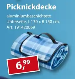 Sonderpreis Baumarkt Picknickdecke Angebot