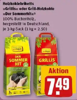 REWE Profagus Holzkohlebriketts Angebot