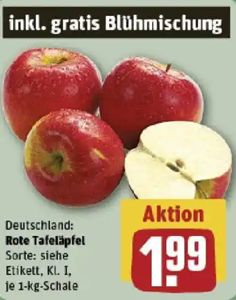 REWE Rote Tafeläpfel Angebot