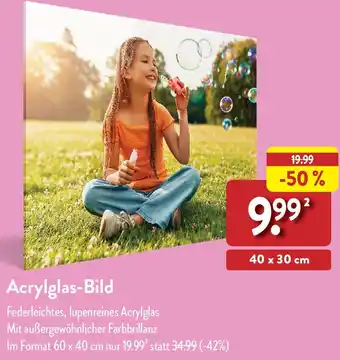 Aldi Nord Acrylglas-Bild Angebot