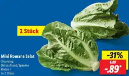 Lidl Mini Romana Salat Angebot