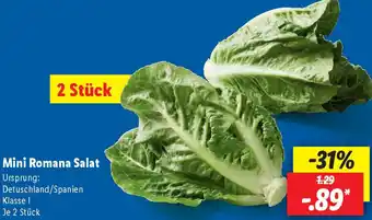 Lidl Mini Romana Salat Angebot