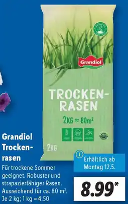 Lidl Grandiol Trockenrasen Angebot