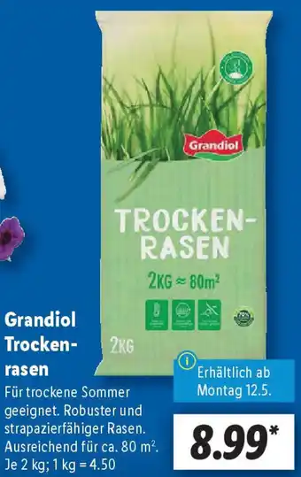 Lidl Grandiol Trockenrasen Angebot