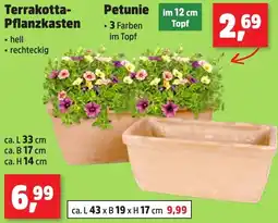 Thomas Philipps Terrakotta Pflanzkasten Angebot