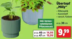 Thomas Philipps Übertopf „Milly" Angebot