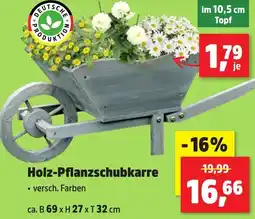 Thomas Philipps Holz-Pflanzschubkarre Angebot