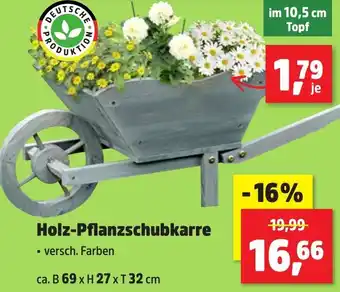 Thomas Philipps Holz-Pflanzschubkarre Angebot