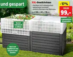 Thomas Philipps XXL-Gewächshaus Angebot